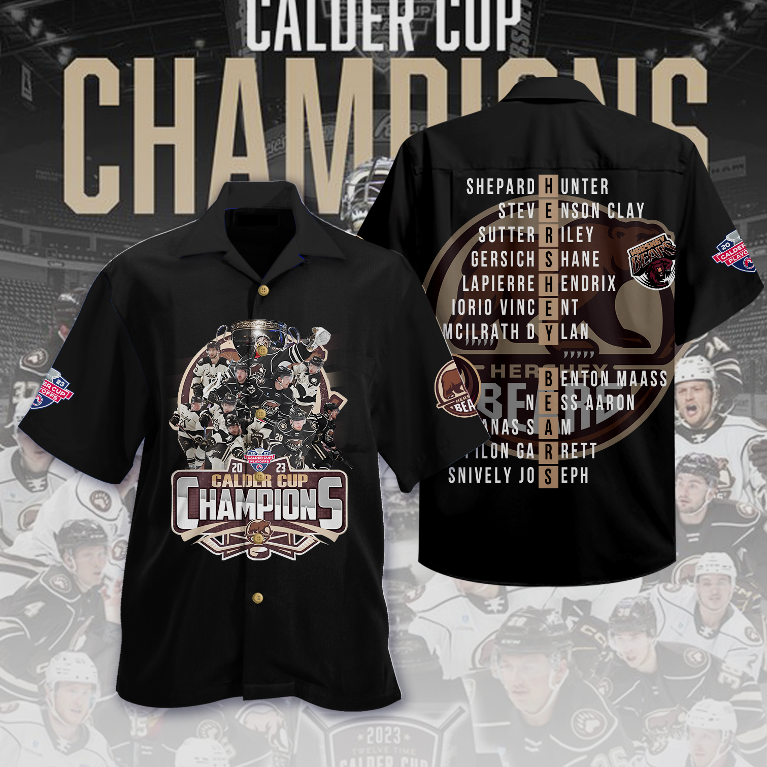 Hershey Bears vs. Charlotte Checkers 2023 Calder Cup Playoffs Dueling  Souvenir Puck Shirt
